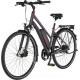 Електричний велосипед Fischer Viator 1.0 28 графітовий