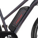 Електричний велосипед Fischer Viator 1.0 28 графітовий