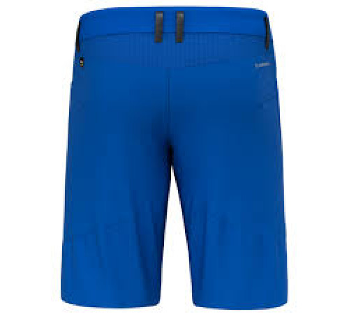 Шорти ч Salewa AGNER DST M SHORTS 28556 8621 - 52/XL - синій