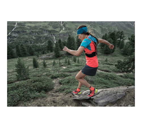Шкарпетки Dynafit Alpine Short Шкарпетки Dynafit Alpine Short