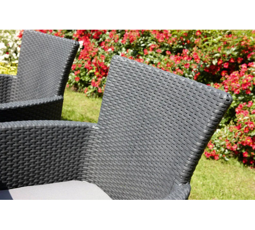 Крісло садове Keter Lowa DC графіт