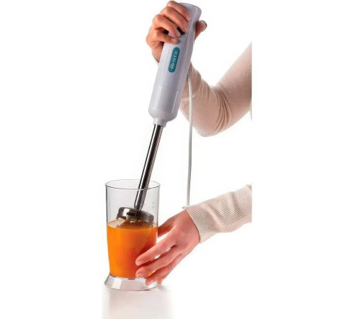 Блендер заглибний ARIETE 0601/1 WH