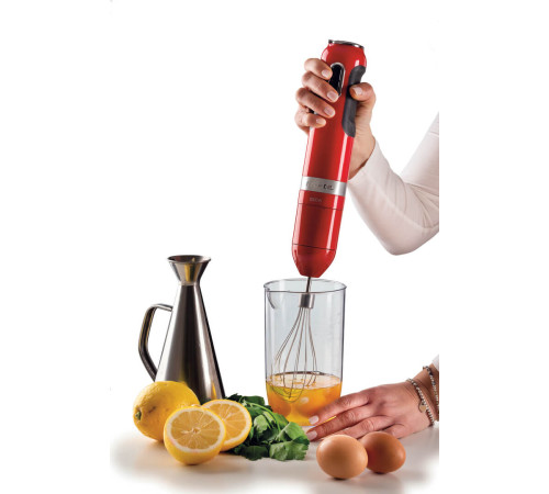 Блендер заглибний ARIETE 602 RD