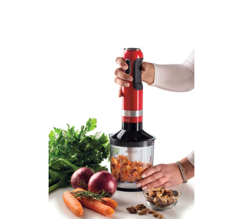 Блендер заглибний ARIETE 602 RD