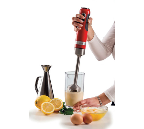 Блендер заглибний ARIETE 602 RD