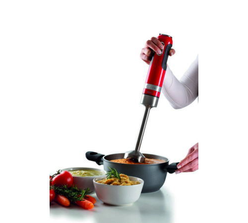 Блендер заглибний ARIETE 602 RD