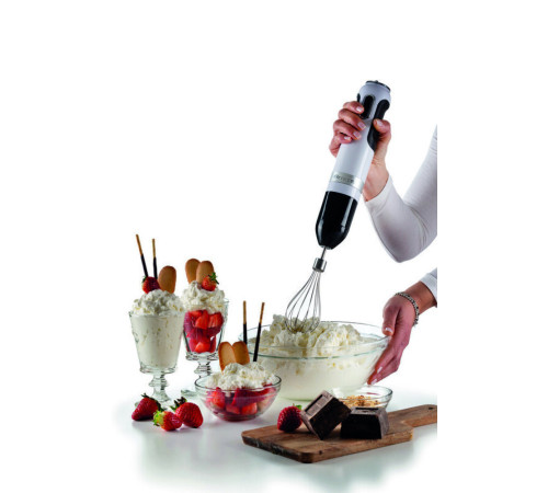 Блендер заглибний ARIETE 602 WH