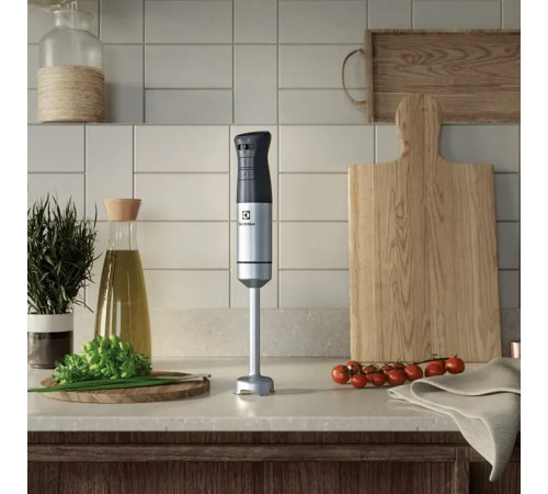 Блендер заглибний ELECTROLUX E5HB2-8SS