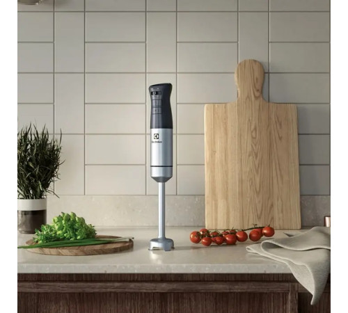 Блендер заглибний ELECTROLUX E5HB2-8SS