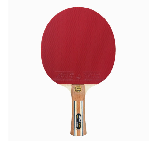 Ракетка для настільного тенісу ATEMI PRO 5000, червона