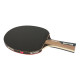 Rakietka do Tenisa Stołowego Ping Ponga BUTTERFLY Timo Boll Graphite