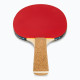 Набір для настільного тенісу Donic Persson 500 cork 2-player set