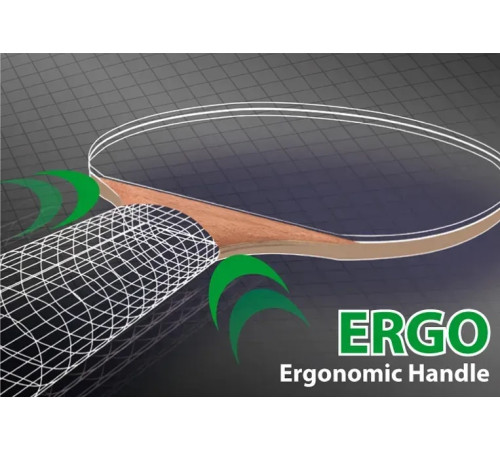 Ракетка для настільного тенісу Donic-Schildkrot Legends 600 FSC, чорна