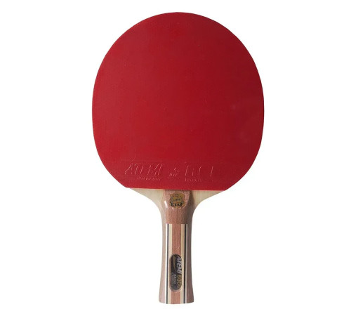 Ракетка для настільного тенісу Atemi 5000 PRO Balsa-Carbon ECO-Line