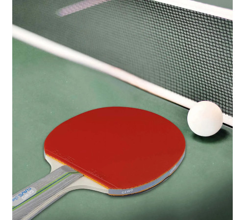 Ракетка для настільного тенісу Gewo Rave Action FL, чорно-червона