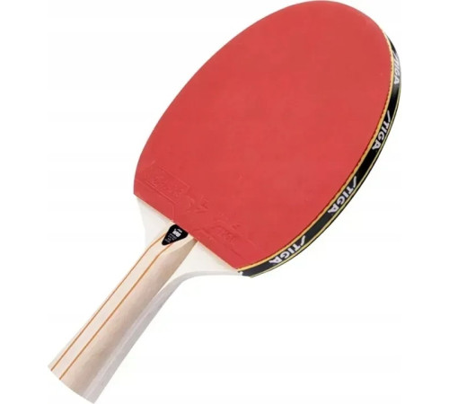 Ракетка для настільного тенісу STIGA Evolve 1-Star, чорно-червона