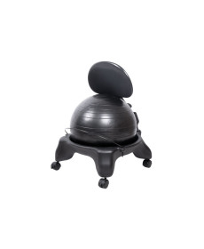  Реабілітаційне крісло з м'ячем inSPORTline G-Chair