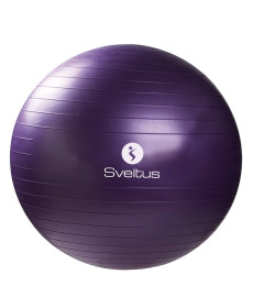 Мяч для фитнеса (фитбол) Sveltus Gymball ABS 75 см Фиолетовый (SLTS-0345)