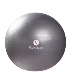 М'яч для фітнесу Sveltus SLTS-0340 Gymball ABS 65 см, сірий
