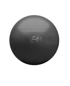 М'яч для фітнесу (фітбол) WCG 85 Anti-Burst 300кг Графіт