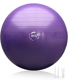 Мяч для фитнеса (фитбол) WCG 65 Anti-Burst 300кг Фиолетовый