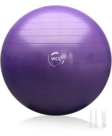 М'яч для фітнесу WCG 65 Anti-Burst 65 см, фіолетовий