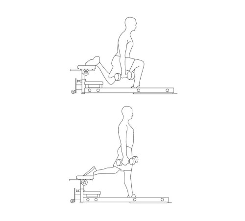 Тренажер для м'язів стегон inSPORTline X-NT HT10 Hip Thrust