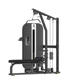 Двофункціональний тренажер Bauerfitness PLM-421 для спини