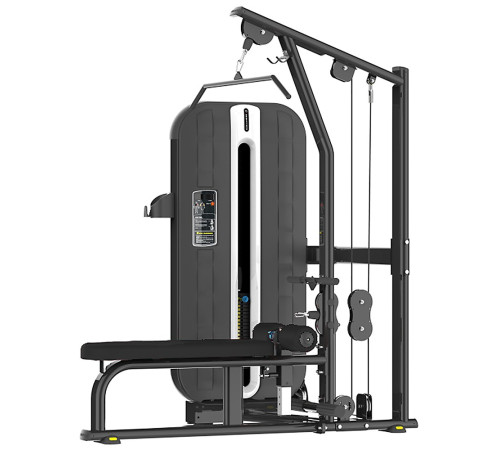 Двофункціональний тренажер Bauerfitness PLM-421 для спини