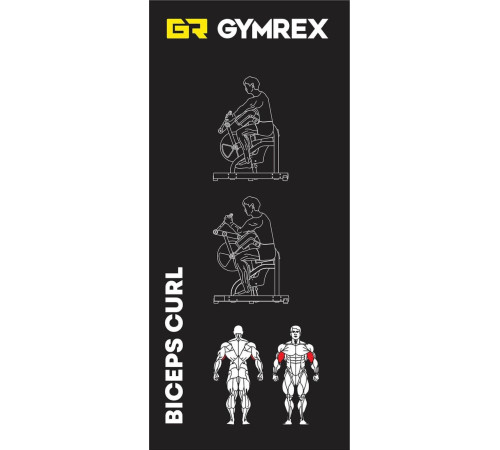 Тренажер для біцепсів Gymrex BICEPS CURL Тренажер для біцепсів Gymrex BICEPS CURL