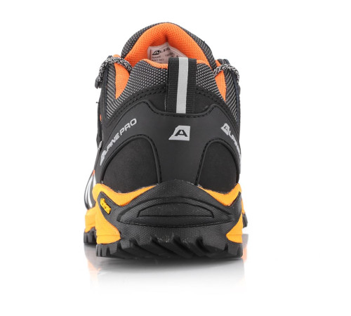 Кросівки Alpine Pro Triglav 3 PTX Low Кросівки Alpine Pro Triglav 3 PTX Low