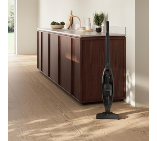 Пилосос акумуляторний ELECTROLUX ES31CB18GG