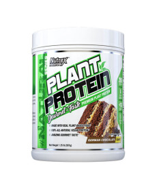 Plant Protein - 567g Cinnamon Cookies