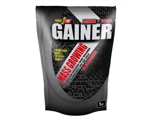 Gainer Power Pro - 1000g Chocolate