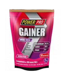 Gainer Power Pro- 2000g Forest Fruit