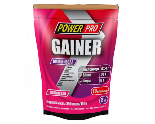 Gainer Power Pro- 2000g Forest Fruit