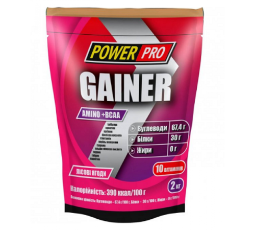 Gainer Power Pro- 2000g Forest Fruit