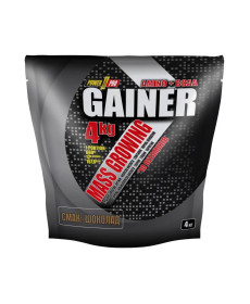 Gainer Power Pro - 4000g Chocolate