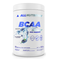 BCAA Max Support Instant - 500g Bllueberry