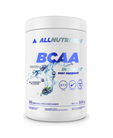 BCAA Max Support Instant - 500g Bllueberry