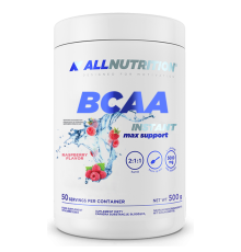 BCAA Max Support Instant - 500g Raspberry