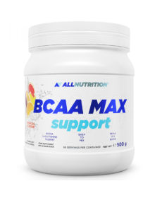 BCAA Max Support - 500g Orange