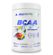 BCAA Max Support Instant - 500g Mango Blackberry