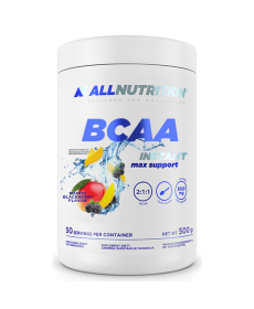 BCAA Max Support Instant - 500g Mango Blackberry