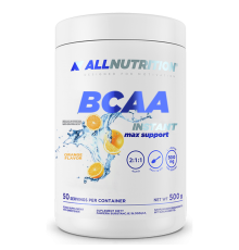 BCAA Max Support Instant - 500g Orange