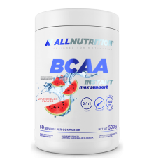 BCAA Max Support Instant - 500g Watermelon