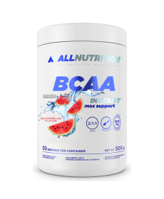 BCAA Max Support Instant - 500g Watermelon