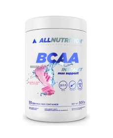 BCAA Max Support Instant - 500g Bubble Gum