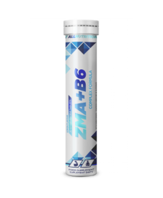 ZMA+B6 - 20tab Lemon