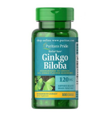 Ginkgo Biloba Standardized Extract 120mg - 100caps